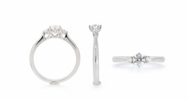 50-00555-1255-W-Dia 0,45ct (centre 0,345ct)-2,74g-648-57540-90030C - foto č. 430