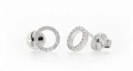 30-00731-1255-W-Dia 0,16ct-1,60g-192-24120-090159C - foto č. 332